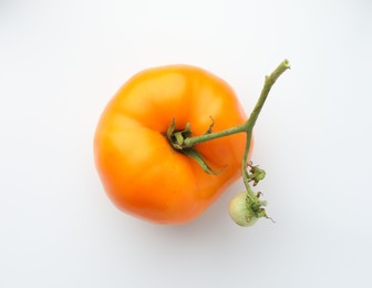 Photo of Fresh ripe yellow tomato isolated on white, top view