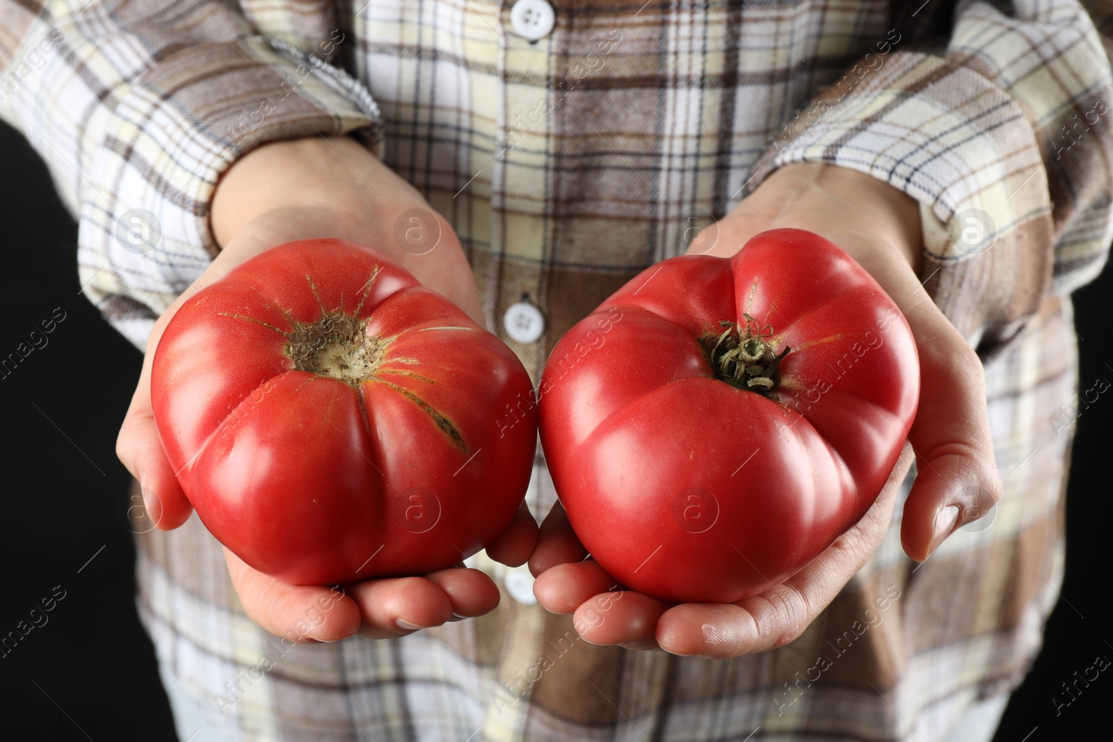 Photo of Woman holding fresh ripe tomatoes on black background, closeup