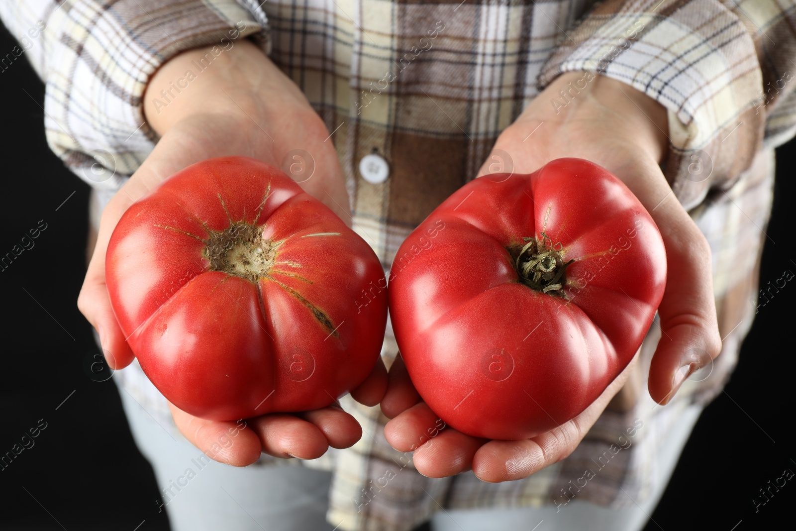 Photo of Woman holding fresh ripe tomatoes on black background, closeup