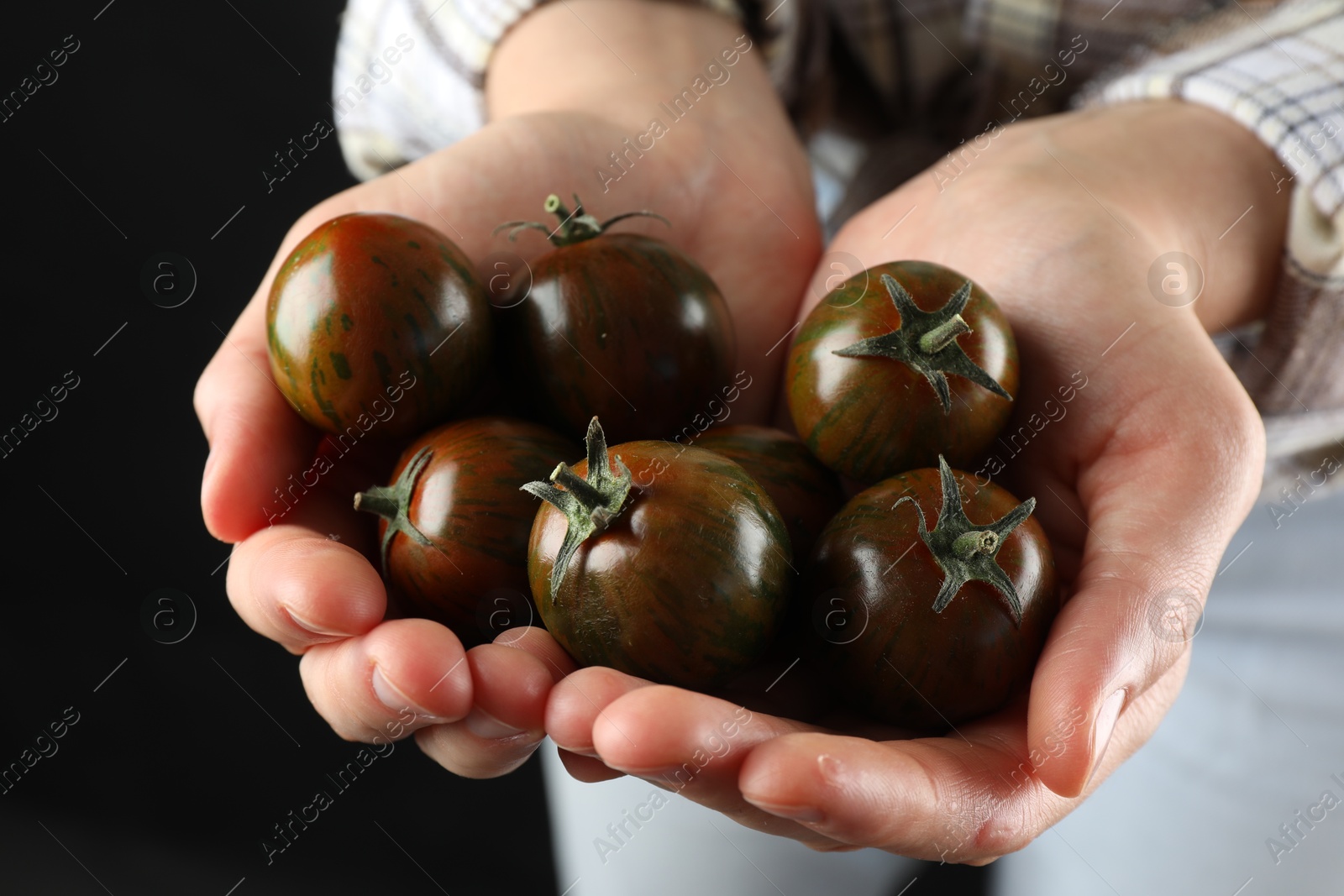 Photo of Woman holding fresh ripe tomatoes on black background, closeup