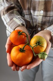 Photo of Woman holding fresh wet tomatoes on grey background, closeup