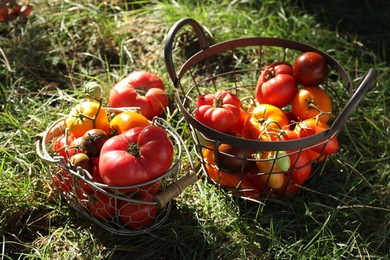 Photo of Different fresh tomatoes in metal baskets on green grass outdoors