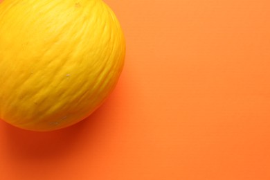 Photo of One fresh melon on orange background, top view. Space for text