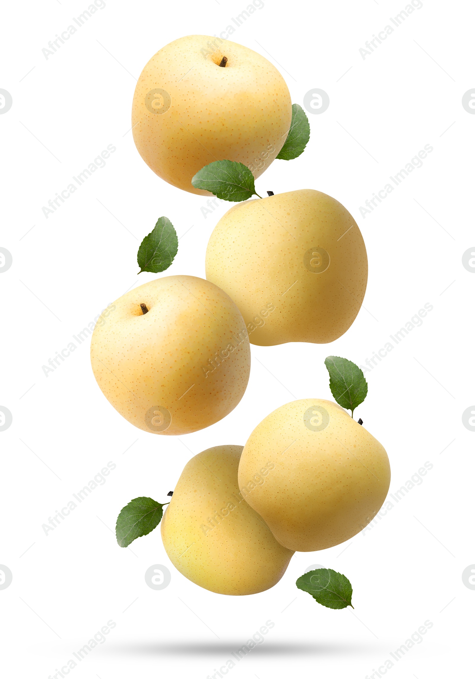 Image of Fresh apple pears and green leaves falling on white background