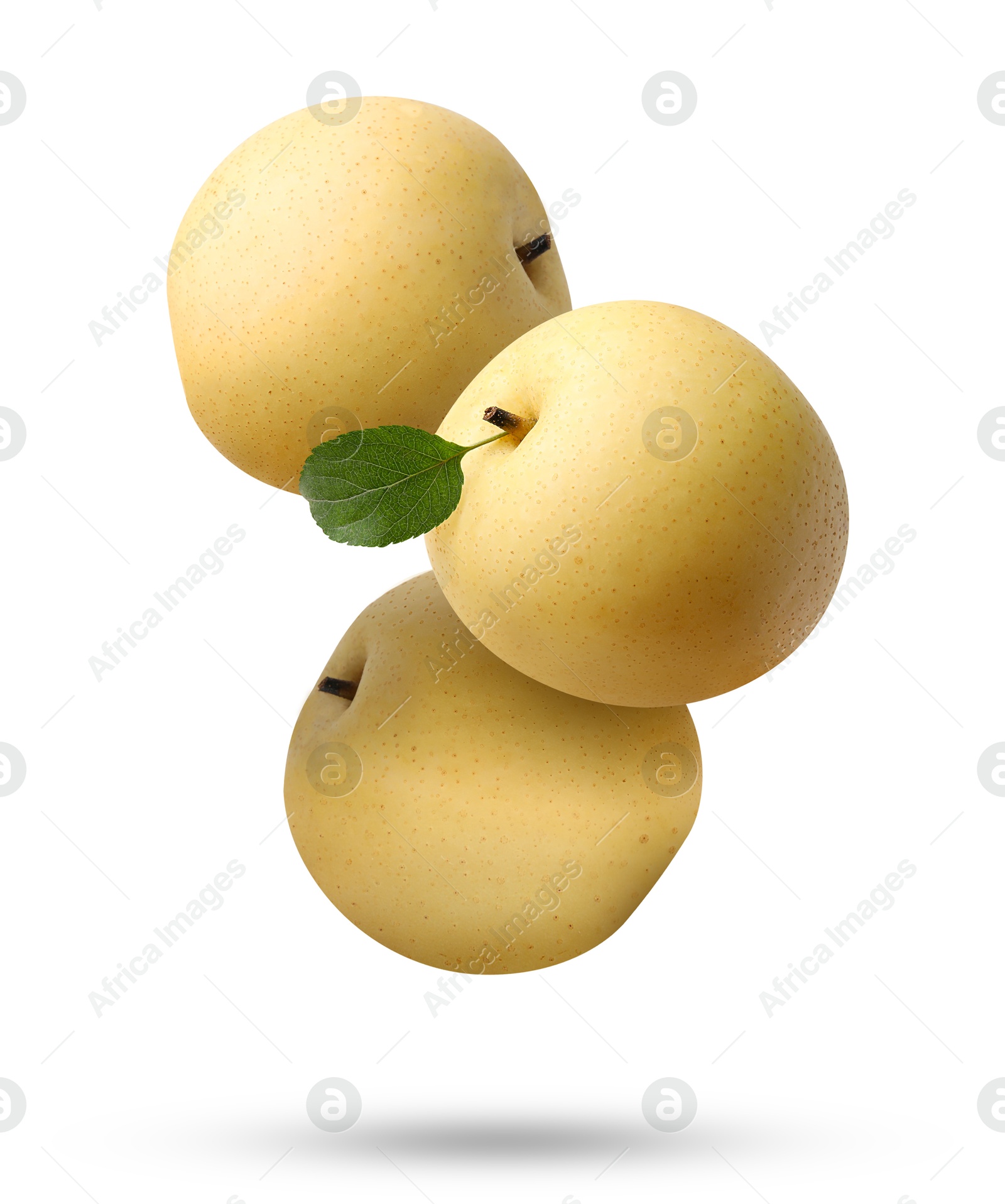 Image of Fresh apple pears falling on white background