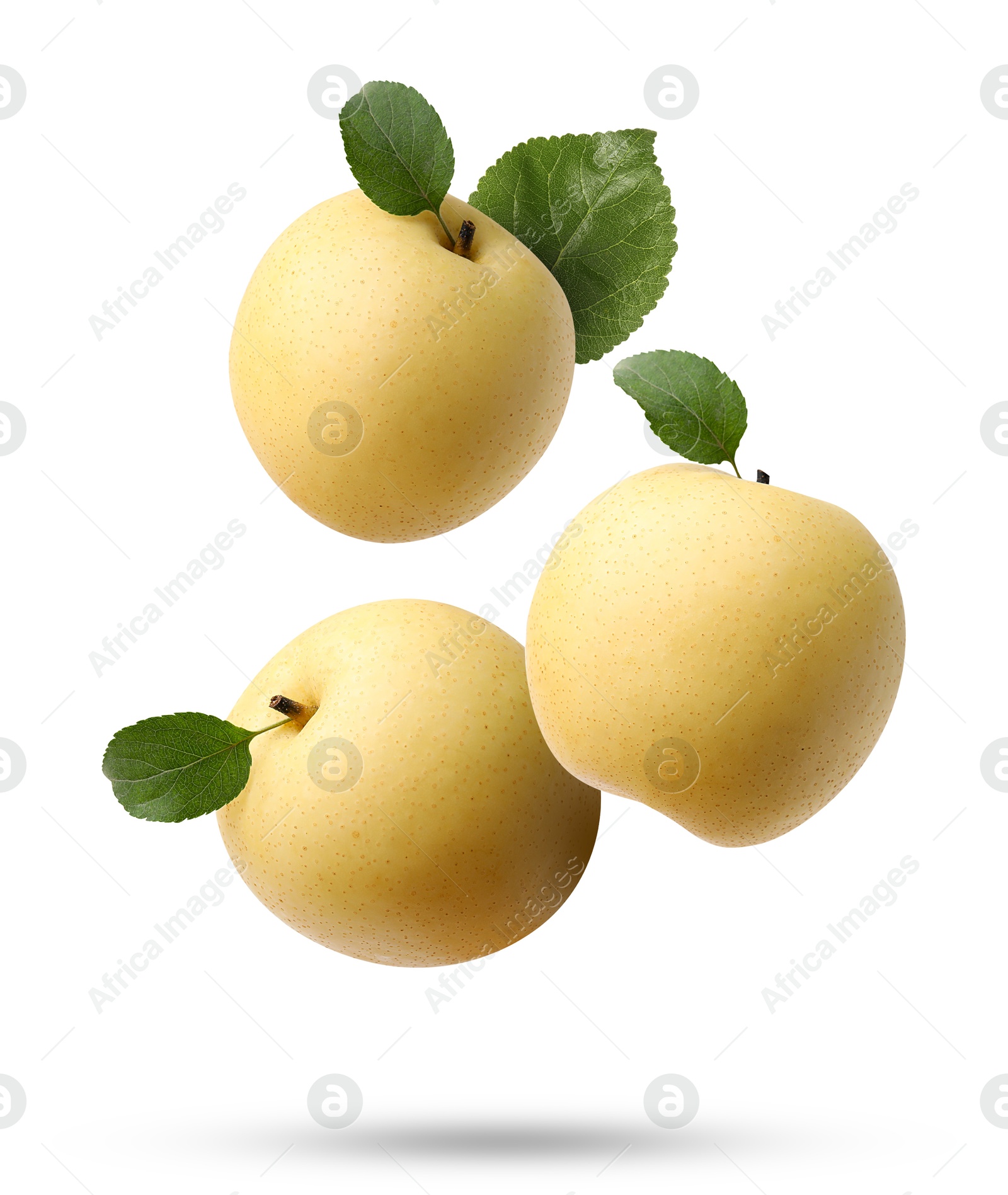 Image of Fresh apple pears and green leaves falling on white background