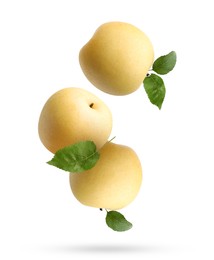 Image of Fresh apple pears and green leaves falling on white background