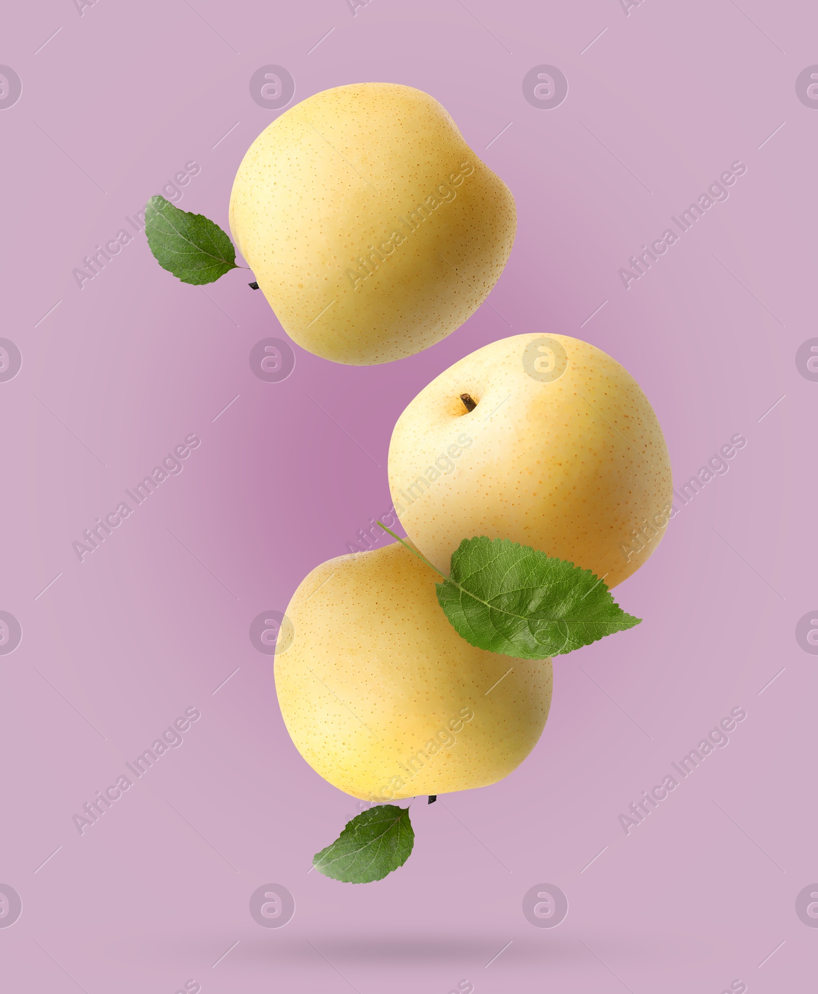 Image of Fresh apple pears and green leaves falling on purple gradient background