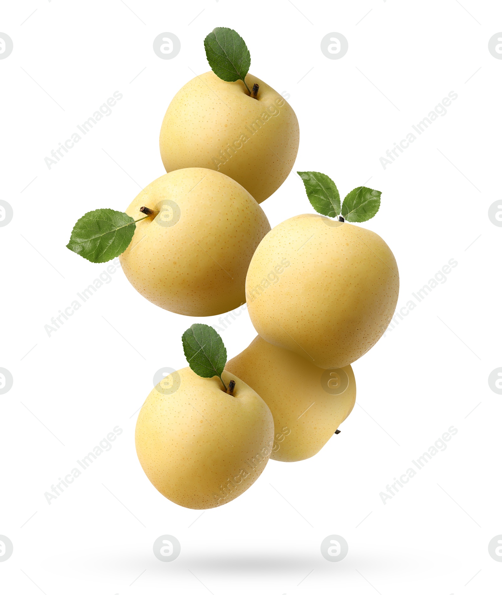 Image of Fresh apple pears and green leaves falling on white background