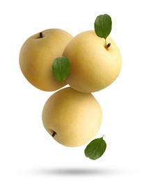 Image of Fresh apple pears and green leaves falling on white background