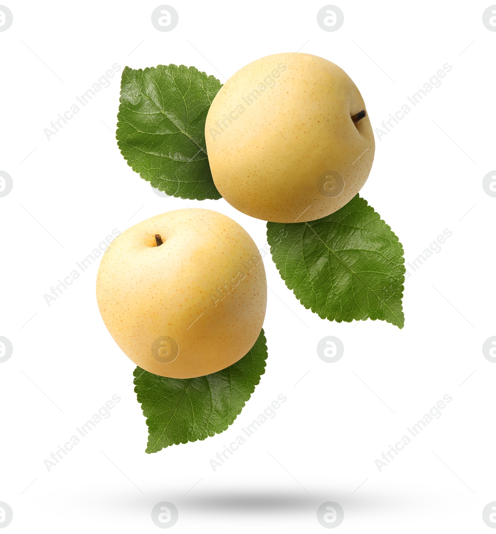 Image of Fresh apple pears and green leaves falling on white background