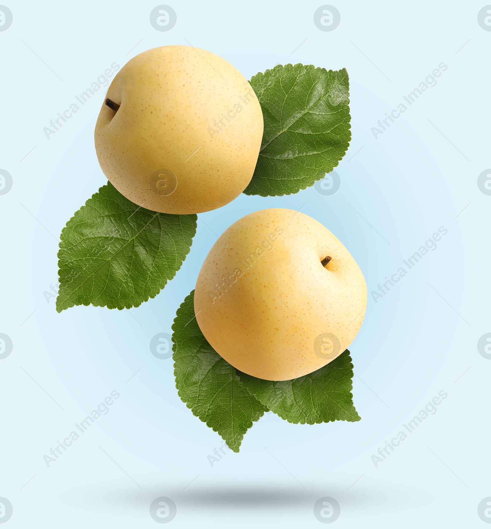 Image of Fresh apple pears and green leaves falling on light blue gradient background