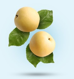 Image of Fresh apple pears and green leaves falling on light blue gradient background