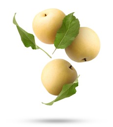 Image of Fresh apple pears and green leaves falling on white background