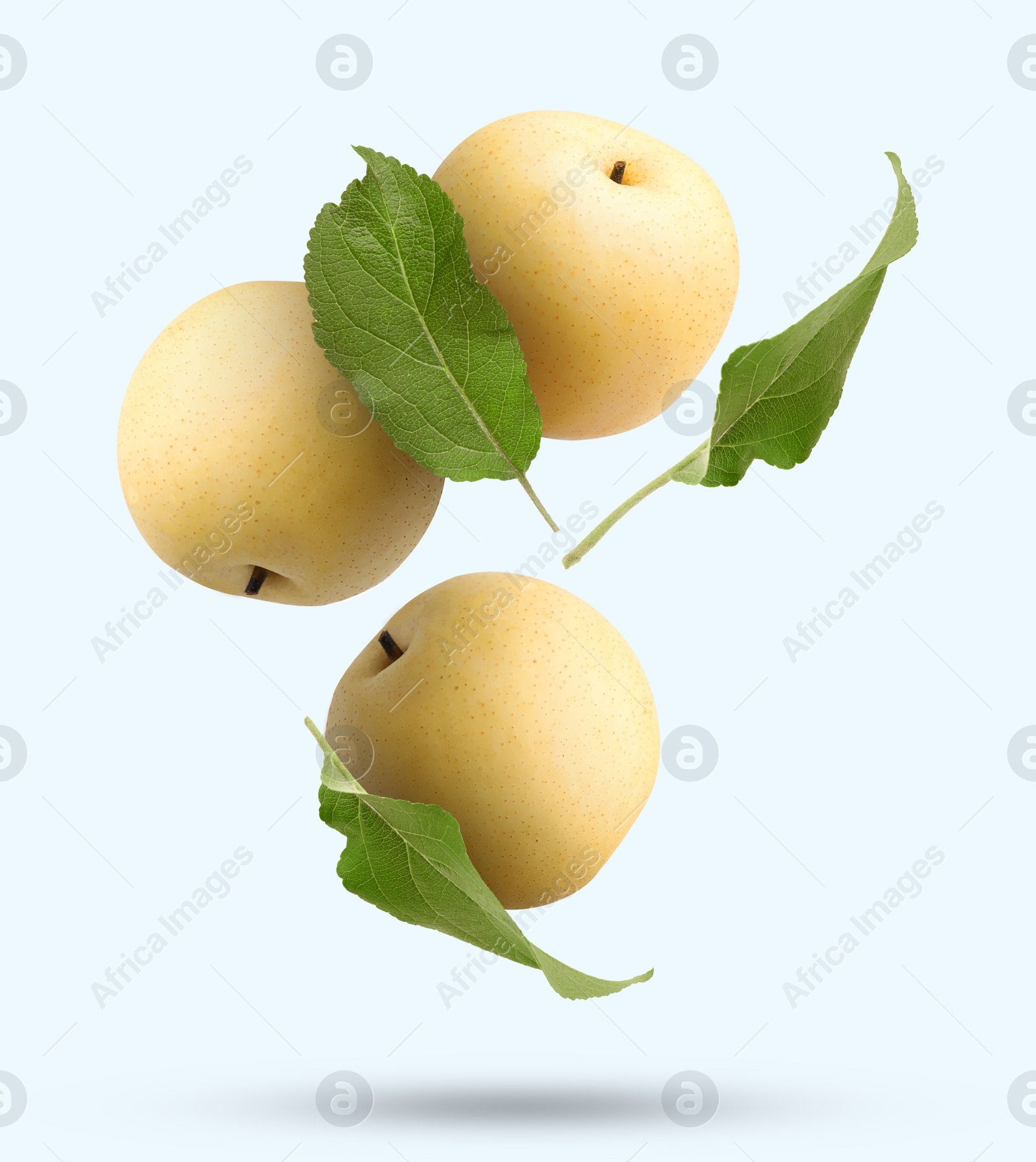 Image of Fresh apple pears and green leaves falling on white background