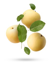 Image of Fresh apple pears and green leaves falling on white background