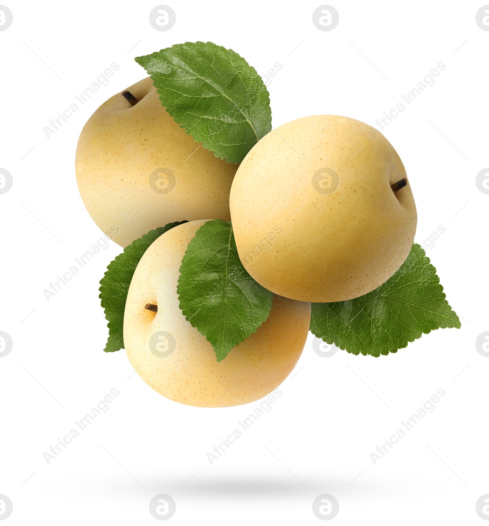 Image of Fresh apple pears and green leaves falling on white background