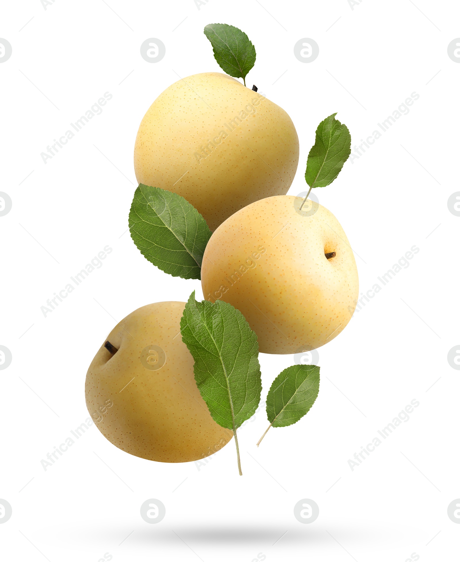 Image of Fresh apple pears and green leaves falling on white background