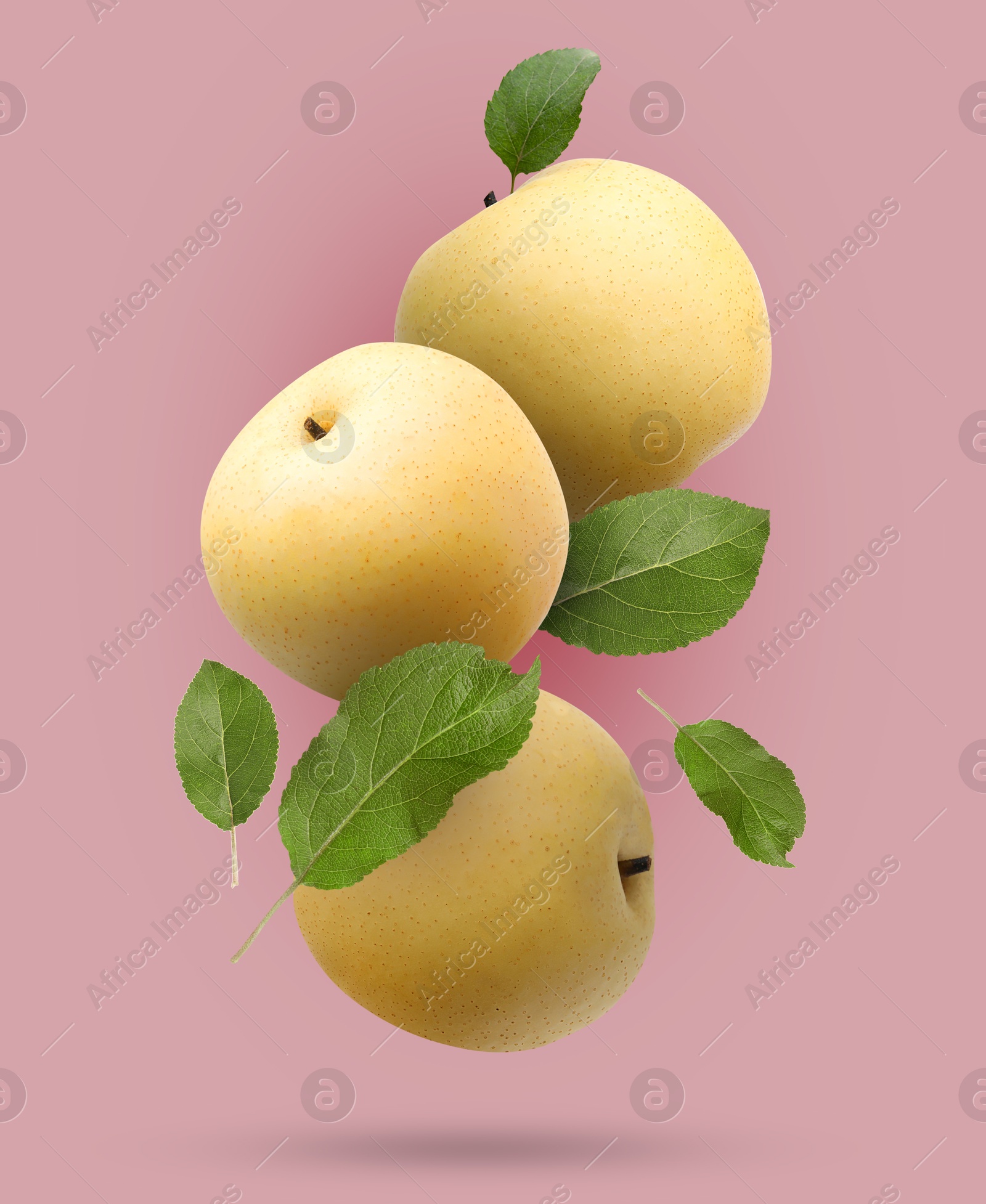 Image of Fresh apple pears and green leaves falling on dark pink gradient background