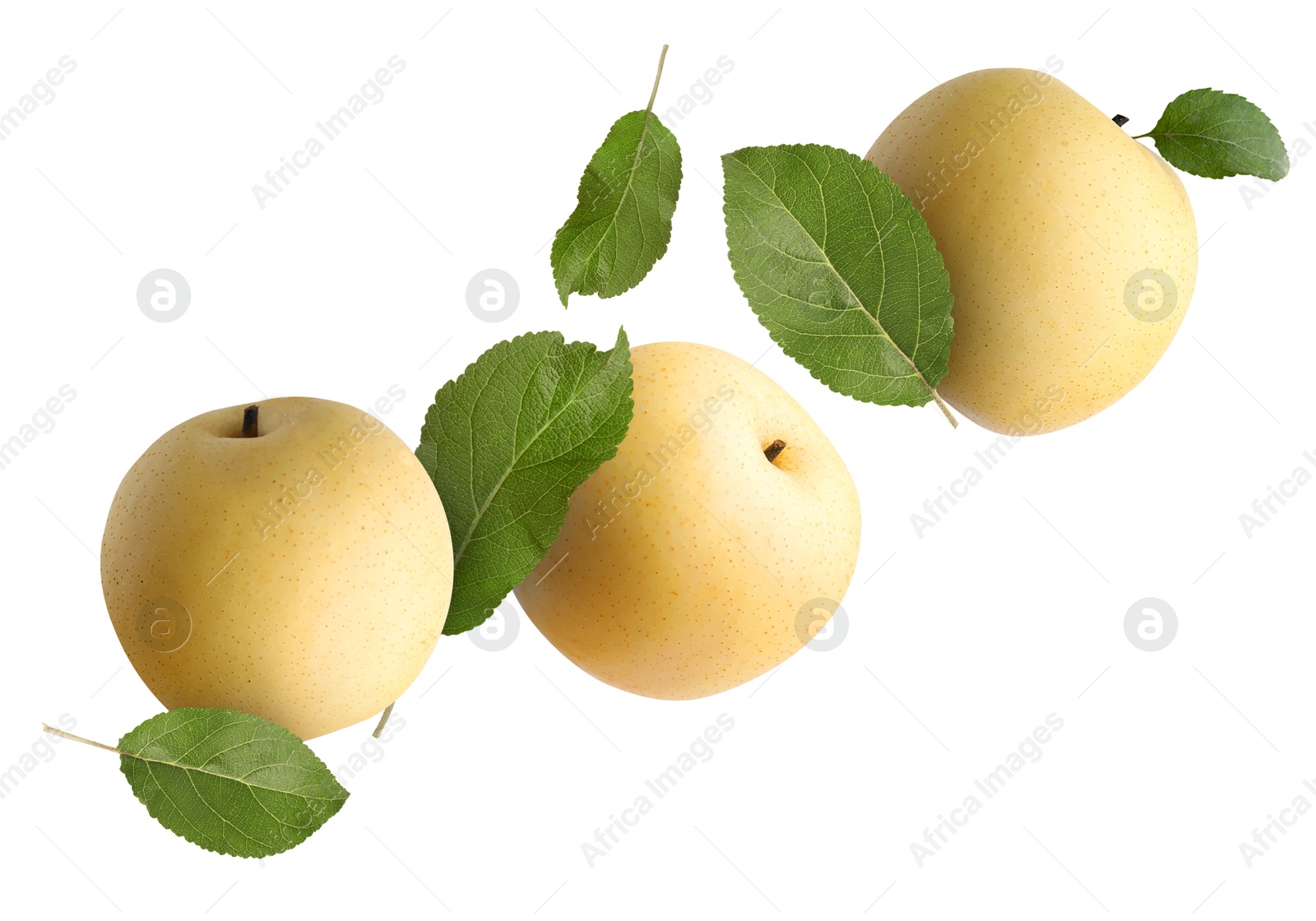 Image of Fresh apple pears and green leaves flying on white background