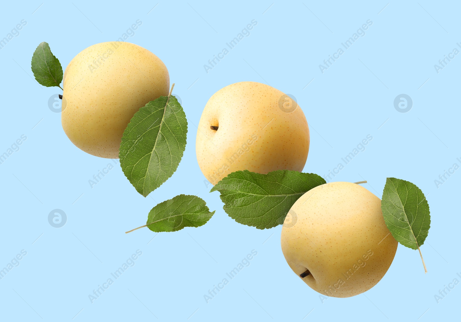 Image of Fresh apple pears and green leaves flying on light blue background