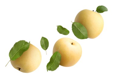 Image of Fresh apple pears and green leaves flying on white background