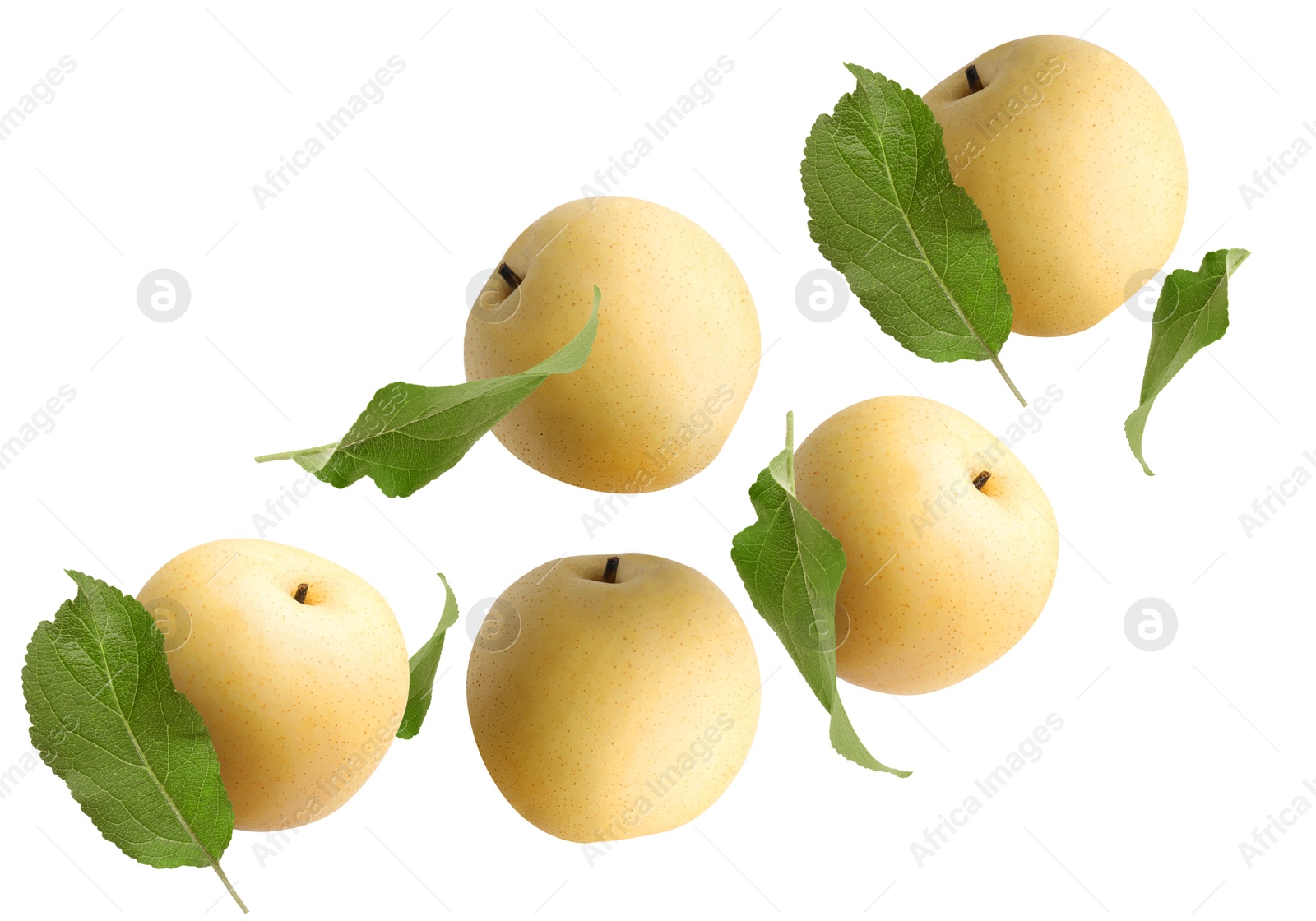 Image of Fresh apple pears and green leaves flying on white background