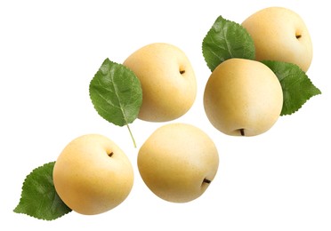 Fresh apple pears and green leaves flying on white background