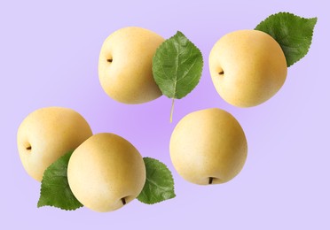 Image of Fresh apple pears and green leaves flying on violet gradient background