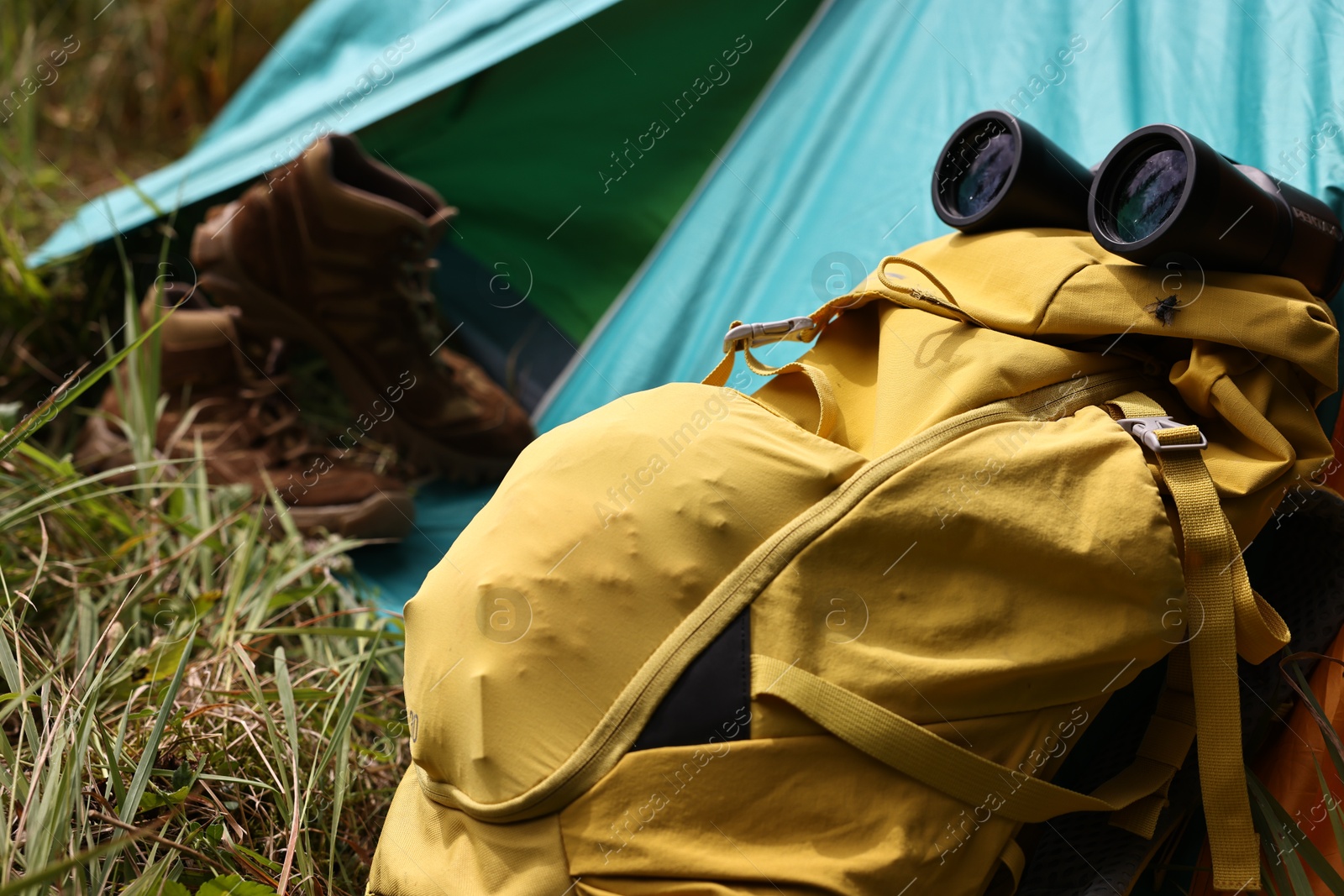 Photo of Tent, backpack, binoculars and shoes on green grass outdoors