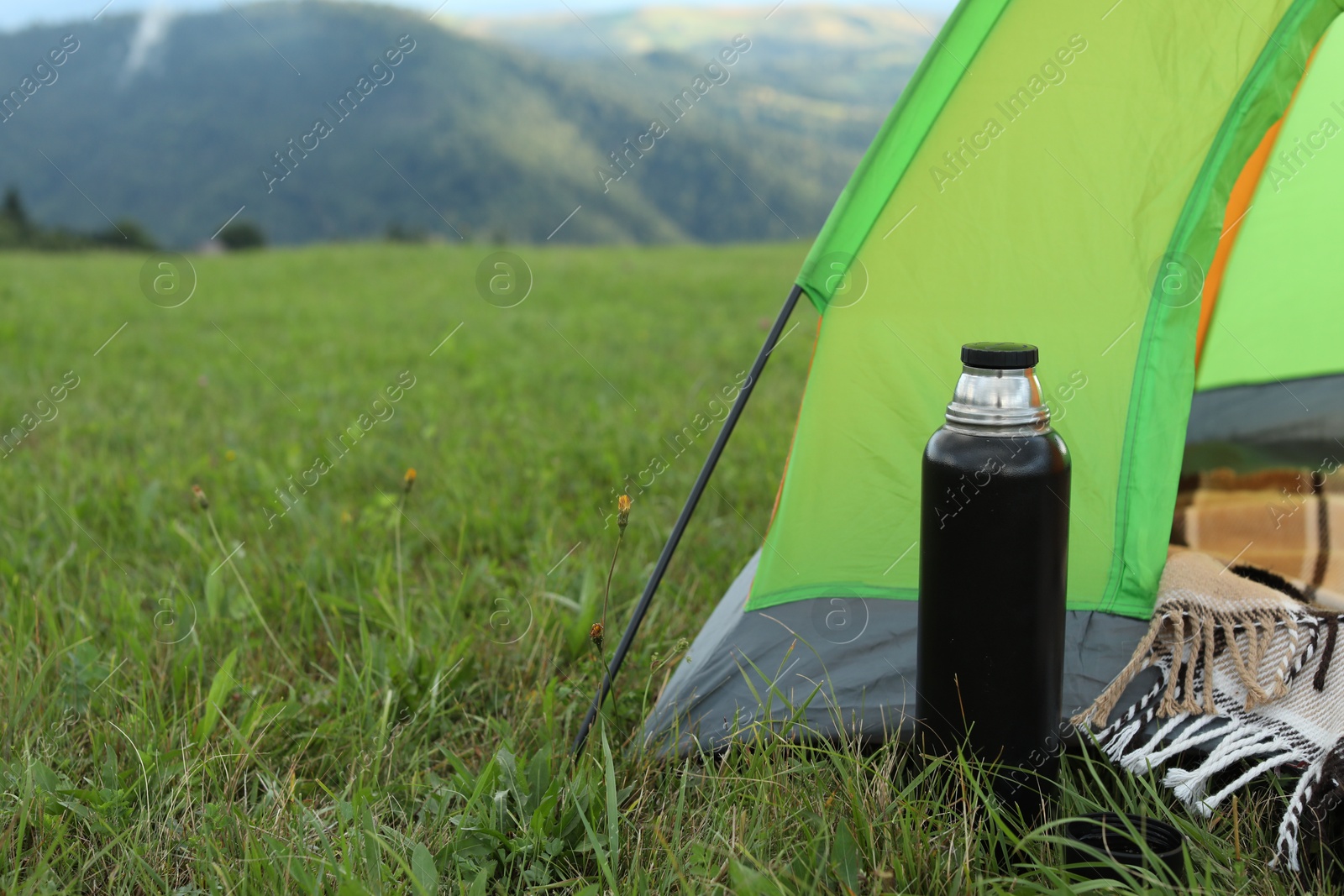 Photo of Tent and camping equipment on green grass in mountains, space for text