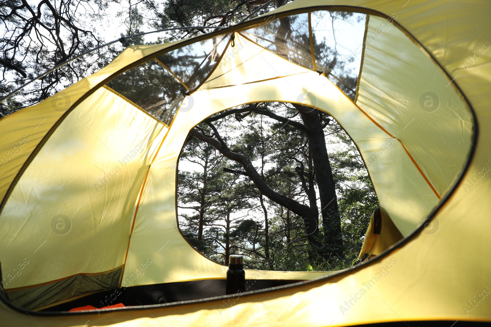 Photo of Modern camping tent in forest at summer, low angle view