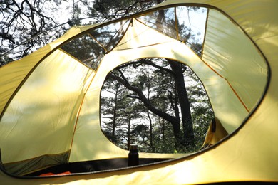 Modern camping tent in forest at summer, low angle view