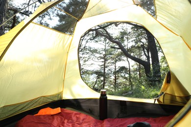 Modern camping tent in forest at summer, low angle view