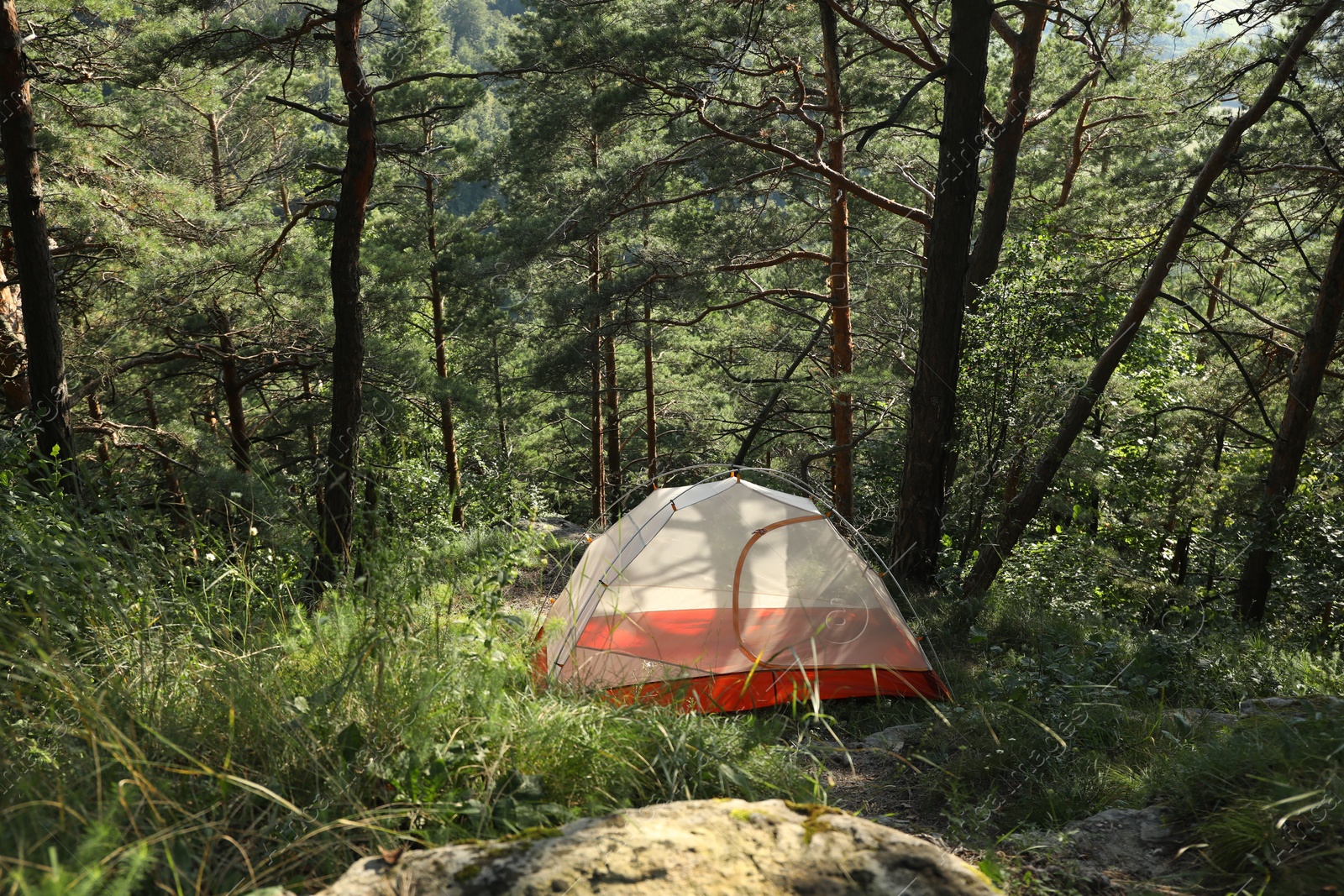 Photo of Modern camping tent in forest at summer