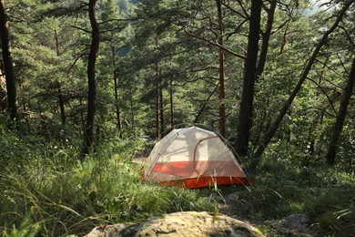 Modern camping tent in forest at summer