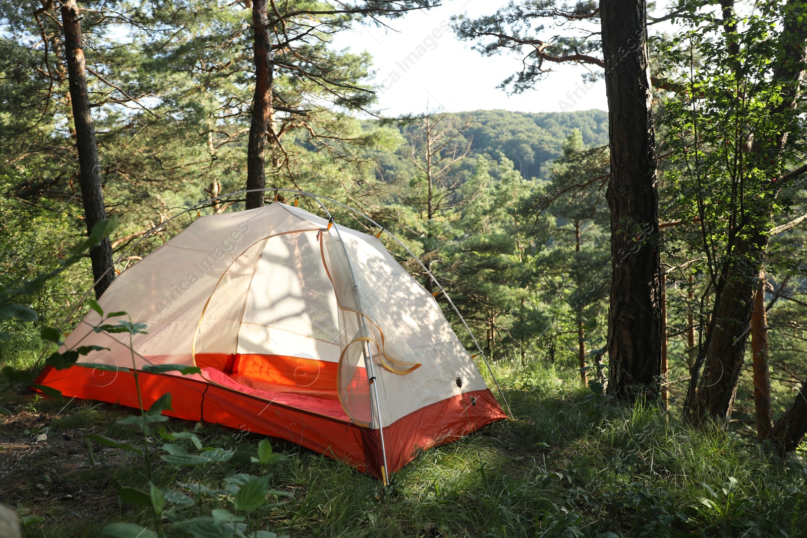 Photo of Modern camping tent in forest at summer, space for text