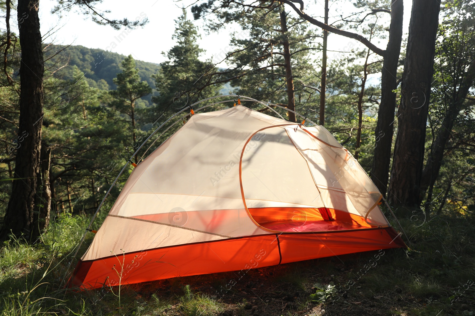 Photo of Modern camping tent in forest at summer