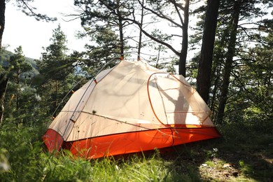 Photo of Modern camping tent in forest at summer