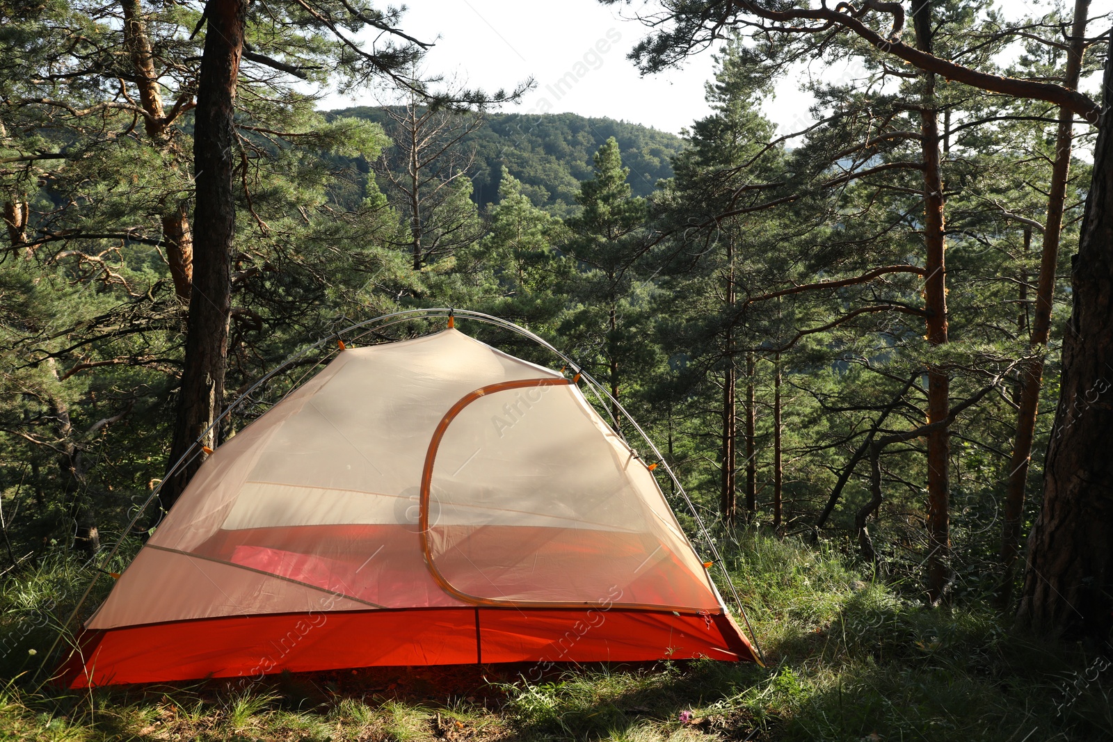 Photo of Modern camping tent in forest at summer, space for text