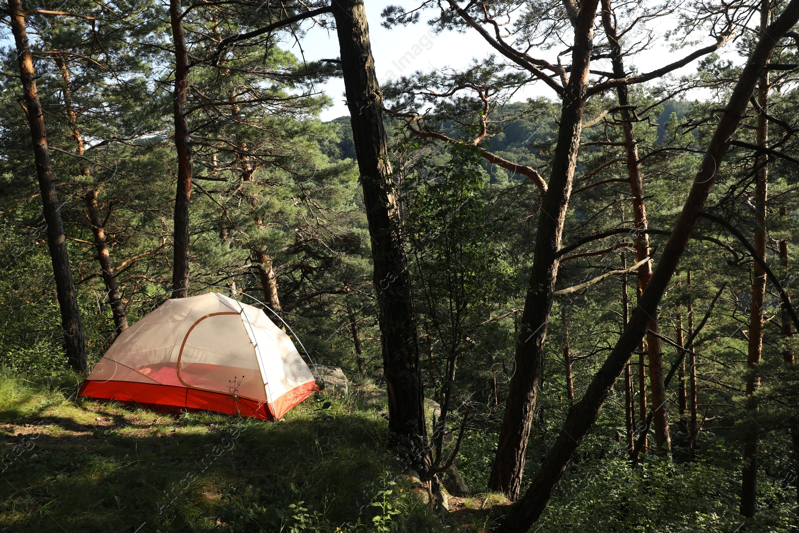 Photo of Modern camping tent in forest at summer, space for text