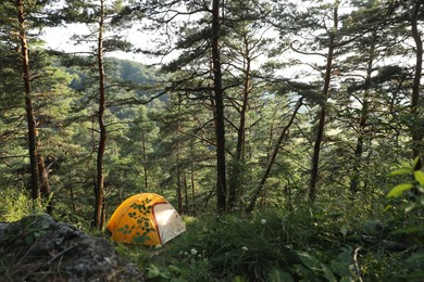 Modern camping tent in forest at summer, space for text