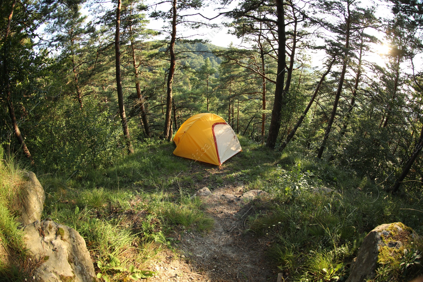 Photo of Modern camping tent in forest at summer. Fisheye lens effect