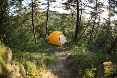 Photo of Modern camping tent in forest at summer. Fisheye lens effect