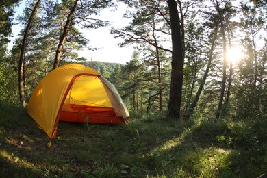 Modern camping tent in forest at summer, space for text. Fisheye lens effect