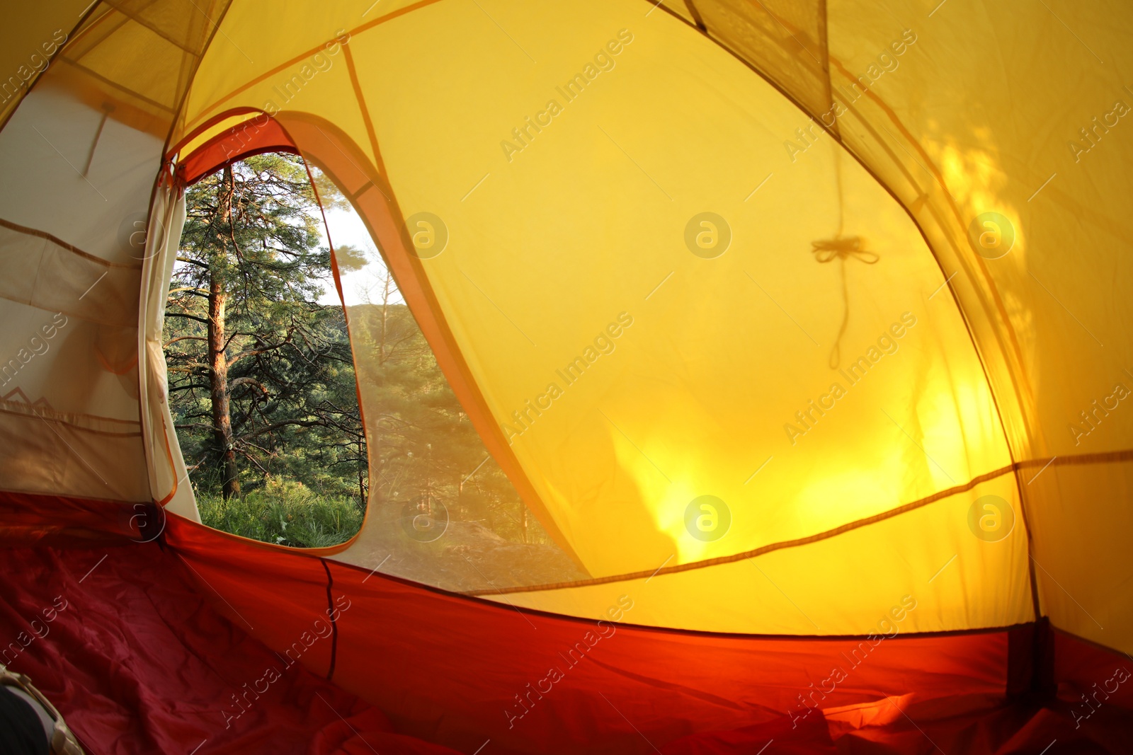 Photo of Modern camping tent in wilderness at summer, view on forest through window