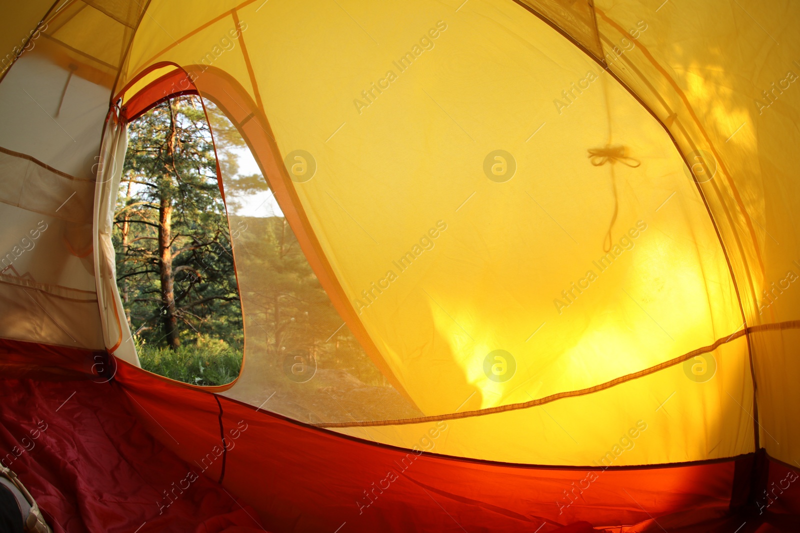 Photo of Modern camping tent in wilderness at summer, view on forest through window