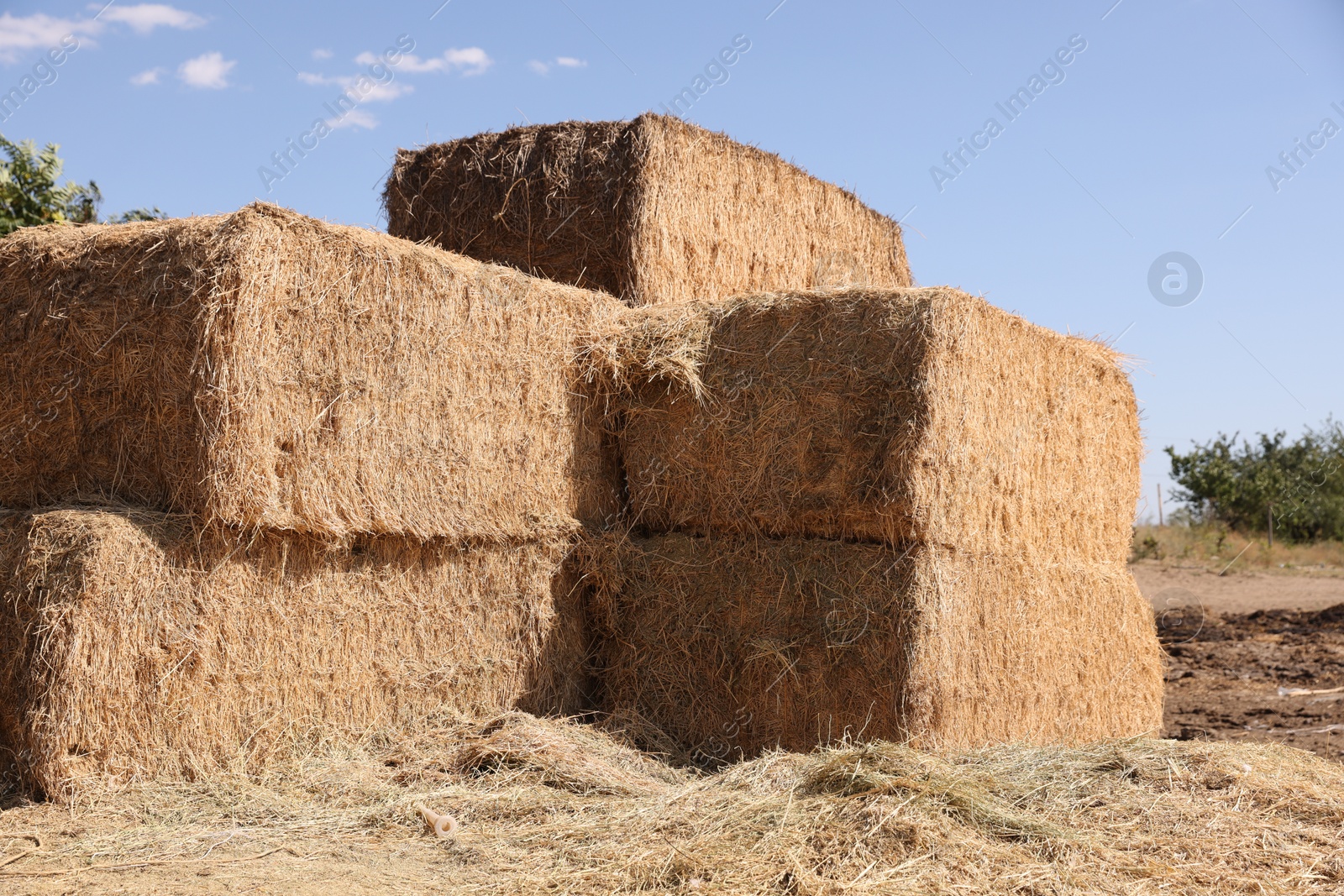 Photo of Bales of hay outdoors on sunny day