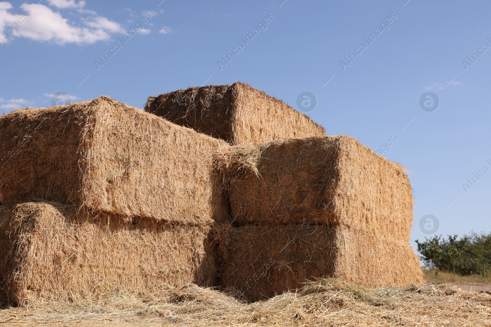 Photo of Bales of hay outdoors on sunny day