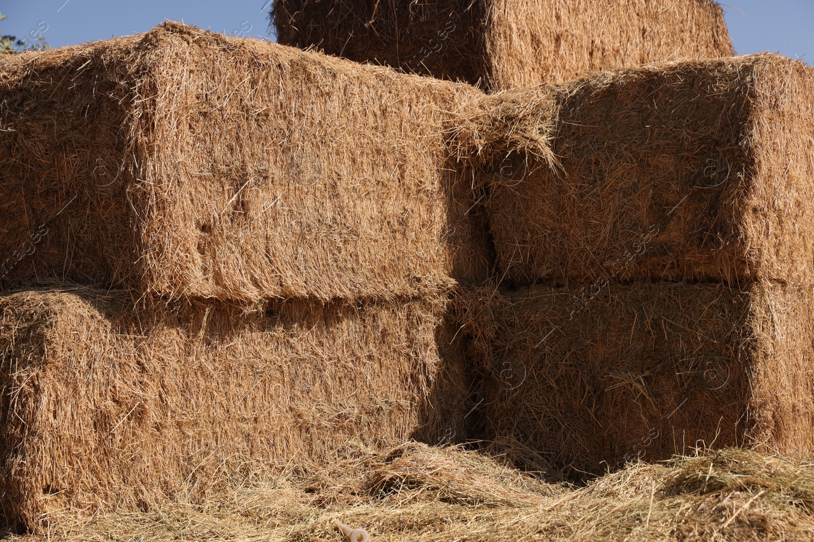 Photo of Bales of hay outdoors on sunny day, closeup